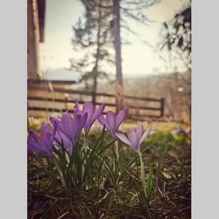 Apartament Marcówka M2 - Szklarska Poręba-centrum *