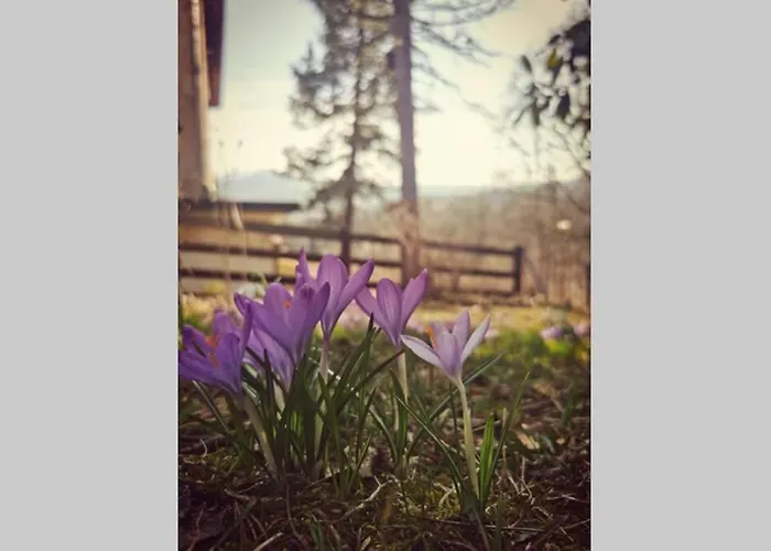 Apartament Marcówka M2 - Szklarska Poręba-centrum *