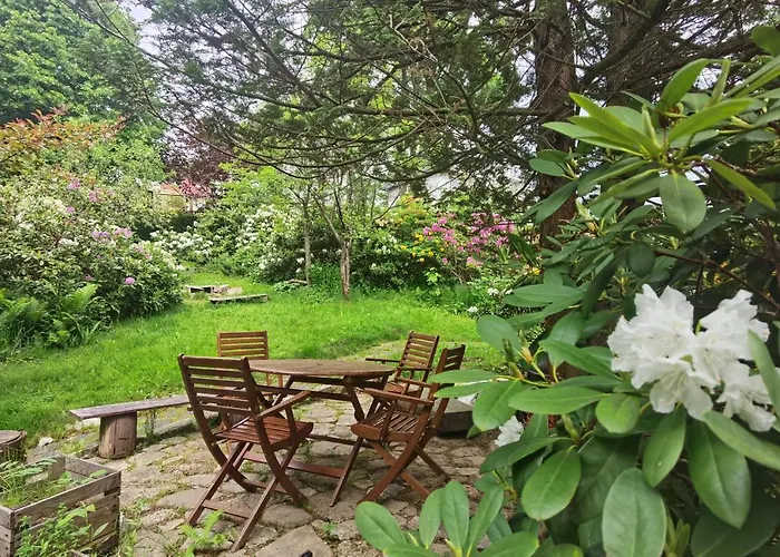 Apartament Marcówka M2 - Szklarska Poręba-centrum Szklarska Poręba